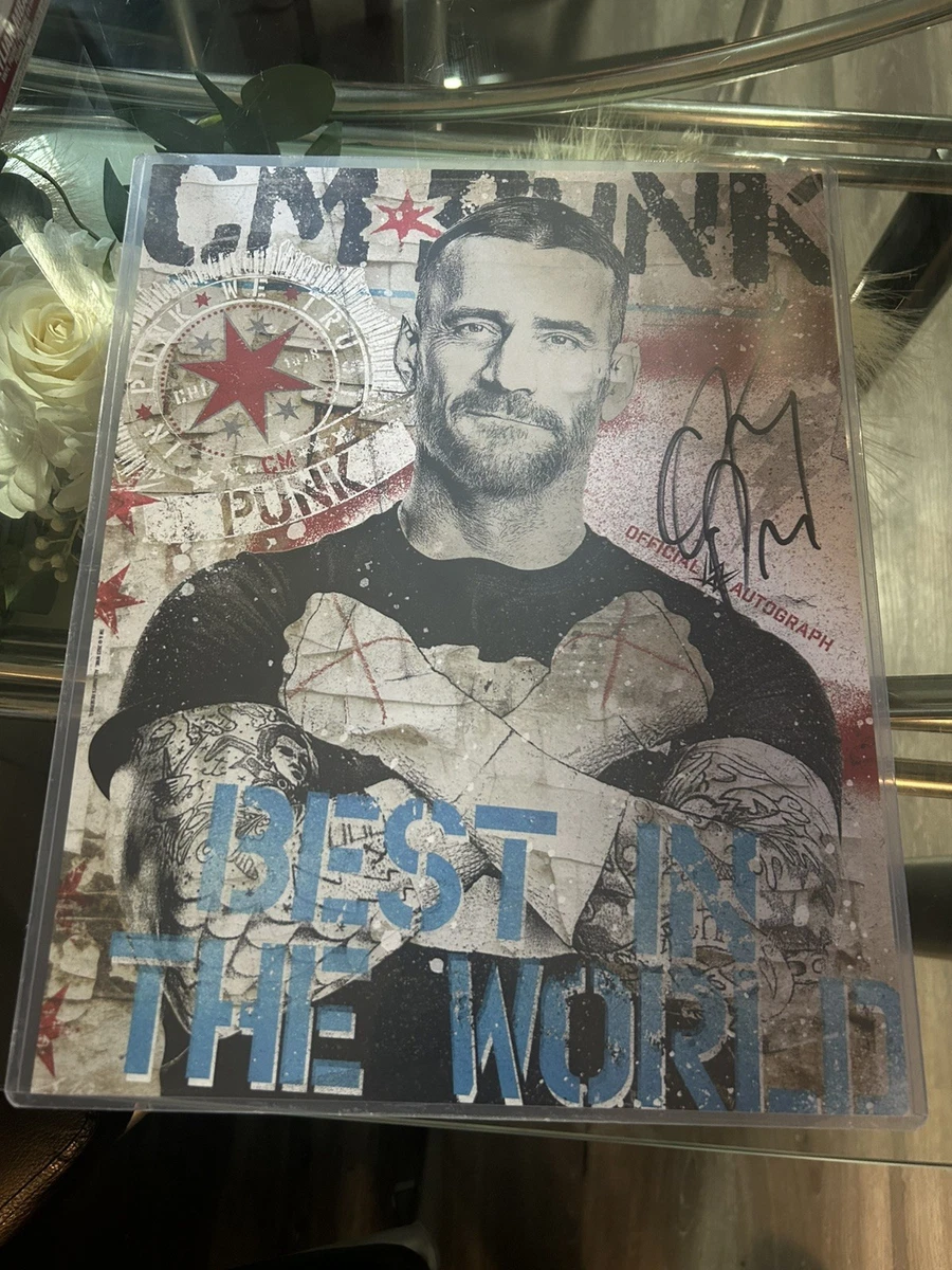 CM Punk WWE Wrestling Original Autographed Photos for sale | eBay