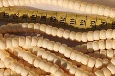9x6mm Crow Cream White Buffalo Bone Beads Jewelry Making Crafts /70 beads