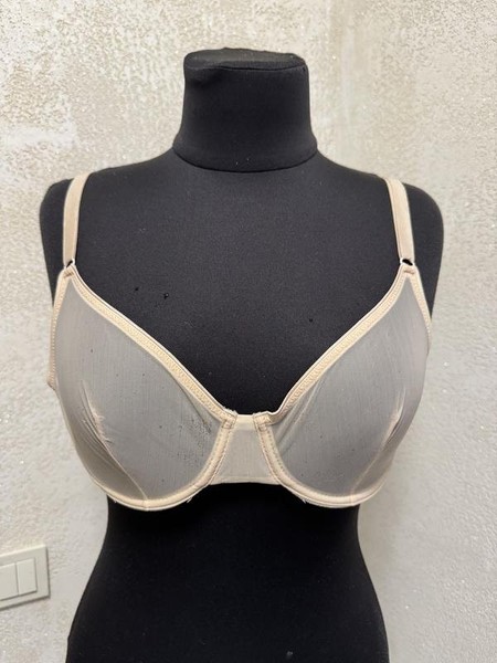 Women Dolce & Gabbana Bra Beige Polyamide 75C