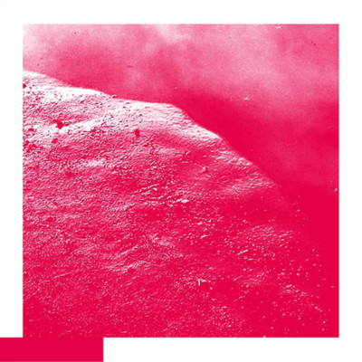 David Allred The Cell (CD) Album