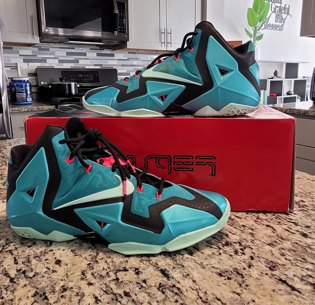 lebron south beach size 11