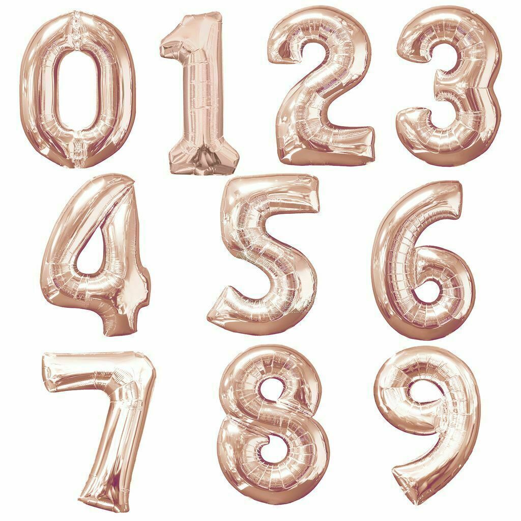 Imagen 16 de 24