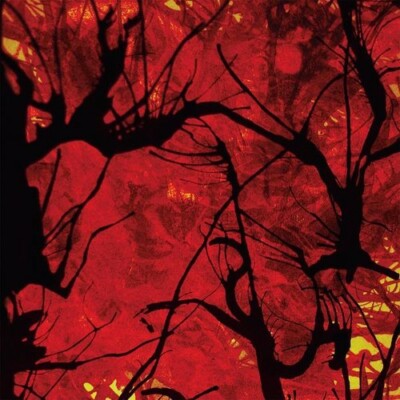 In a Forest by River Raid (CD, 2010)