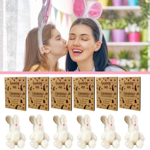 3/6pcs Easter Bunny Hug Gift Pocket Hug Gift,