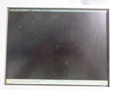 Witron TRS Terminal-PC VT520