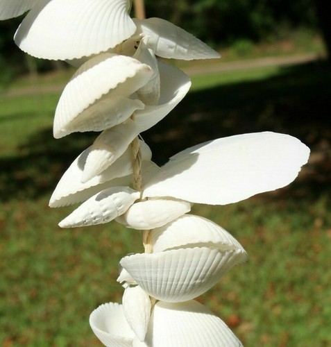 WHITE SEASHELL GARLAND,beach decor,nautical decor,beach wedding,gift G-82 - Picture 6 of 11