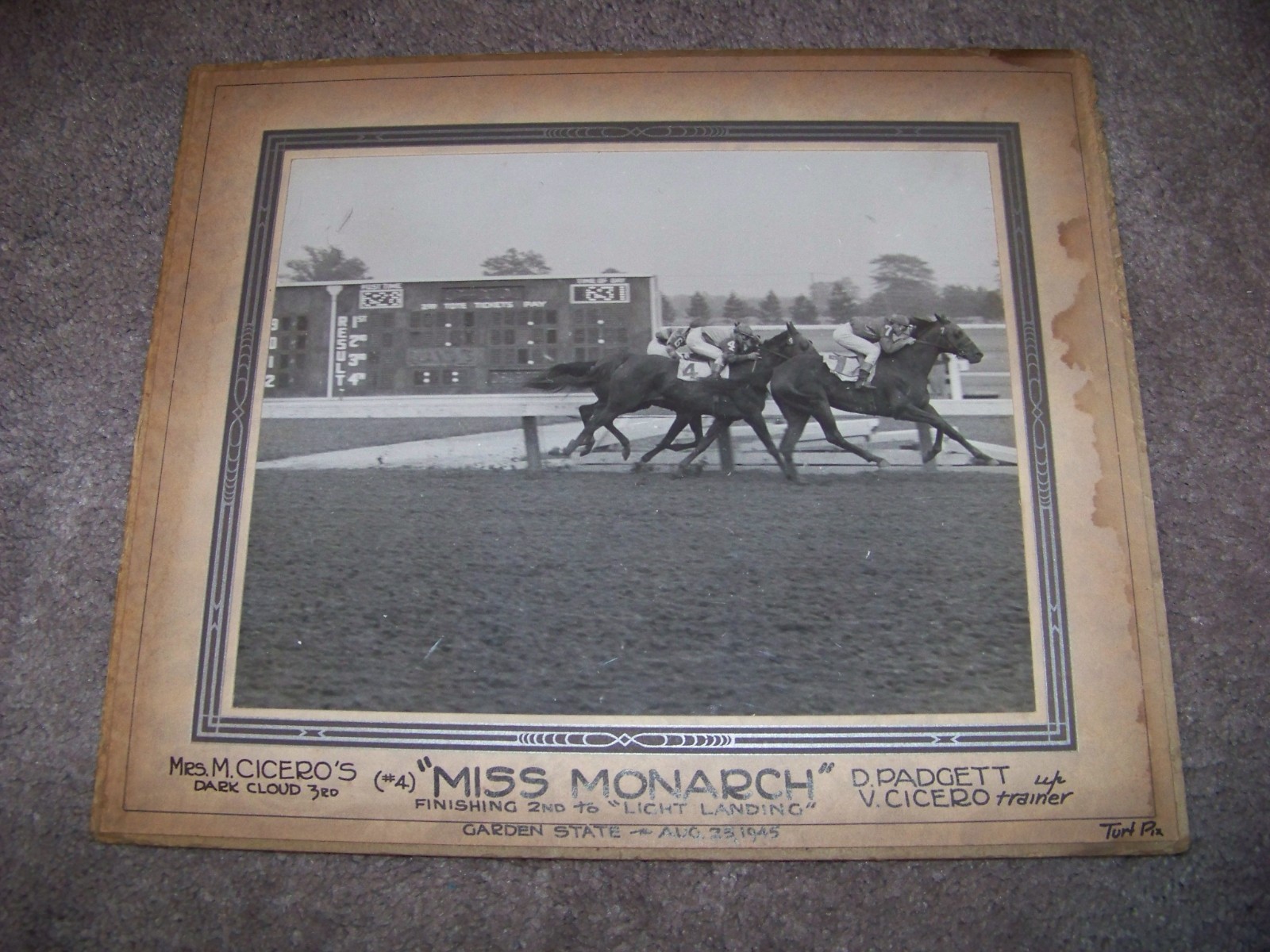 1945 Monarch Garden State Light Landing Dark Cloud M. Cicero D. Padgett Story-image