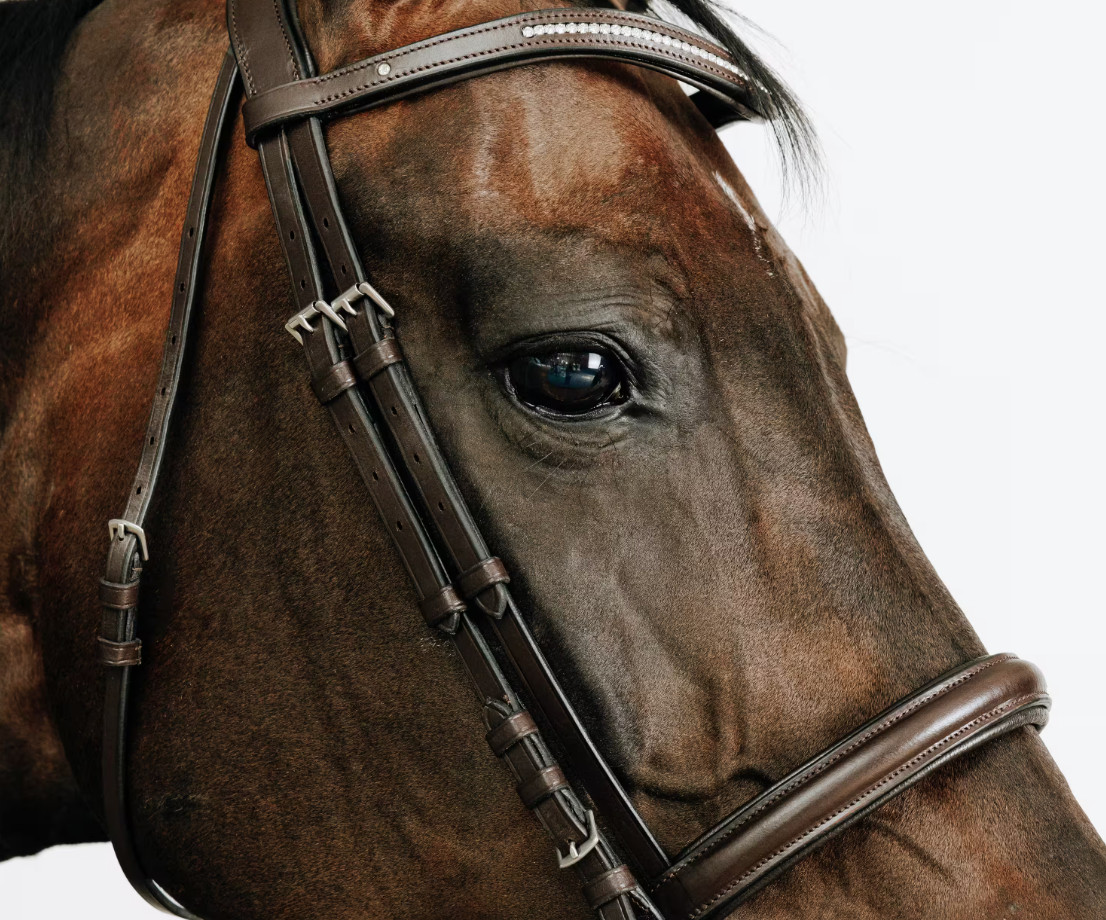 Fancy FS English Hunter European Show Bridle