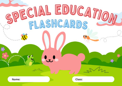 Special Edition Flashcards In Colourfull Illustrative
