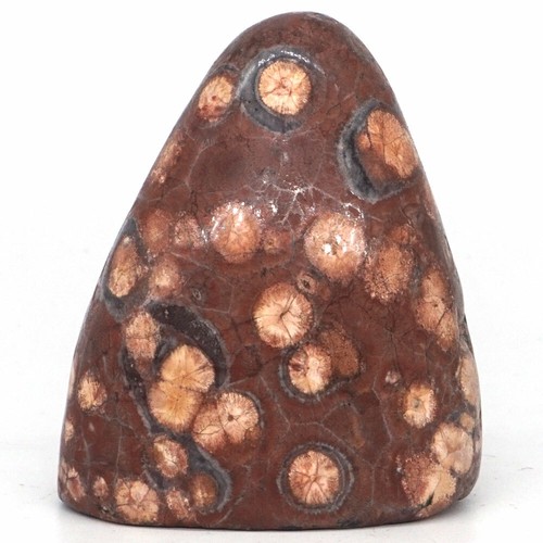 264g Natural Gems Leopard Jasper Palm Stone Crystal Energy Materials Specimen - Picture 2 of 5