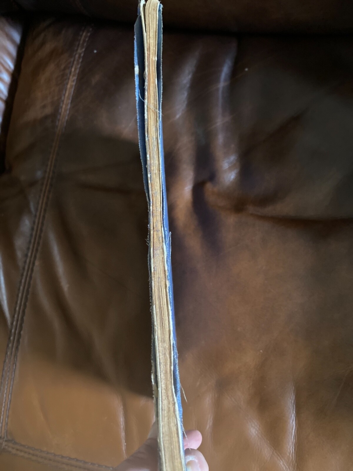 Foto 2 di 5