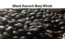 Mucuna Pruriens Black Kaunch Beej Cowhage Cowitch Velvet Bean 100gm 3 5 OZ .