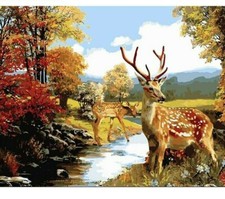 Paint By Numbers Adults kids Deer Forest River DIY Painting Kit 40x50CM Canvas