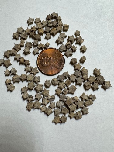 LOTE AL POR MAYOR DE 100 MINI TALLOS CRINOIDES ESTRELLA FÓSIL - Imagen 2 de 3