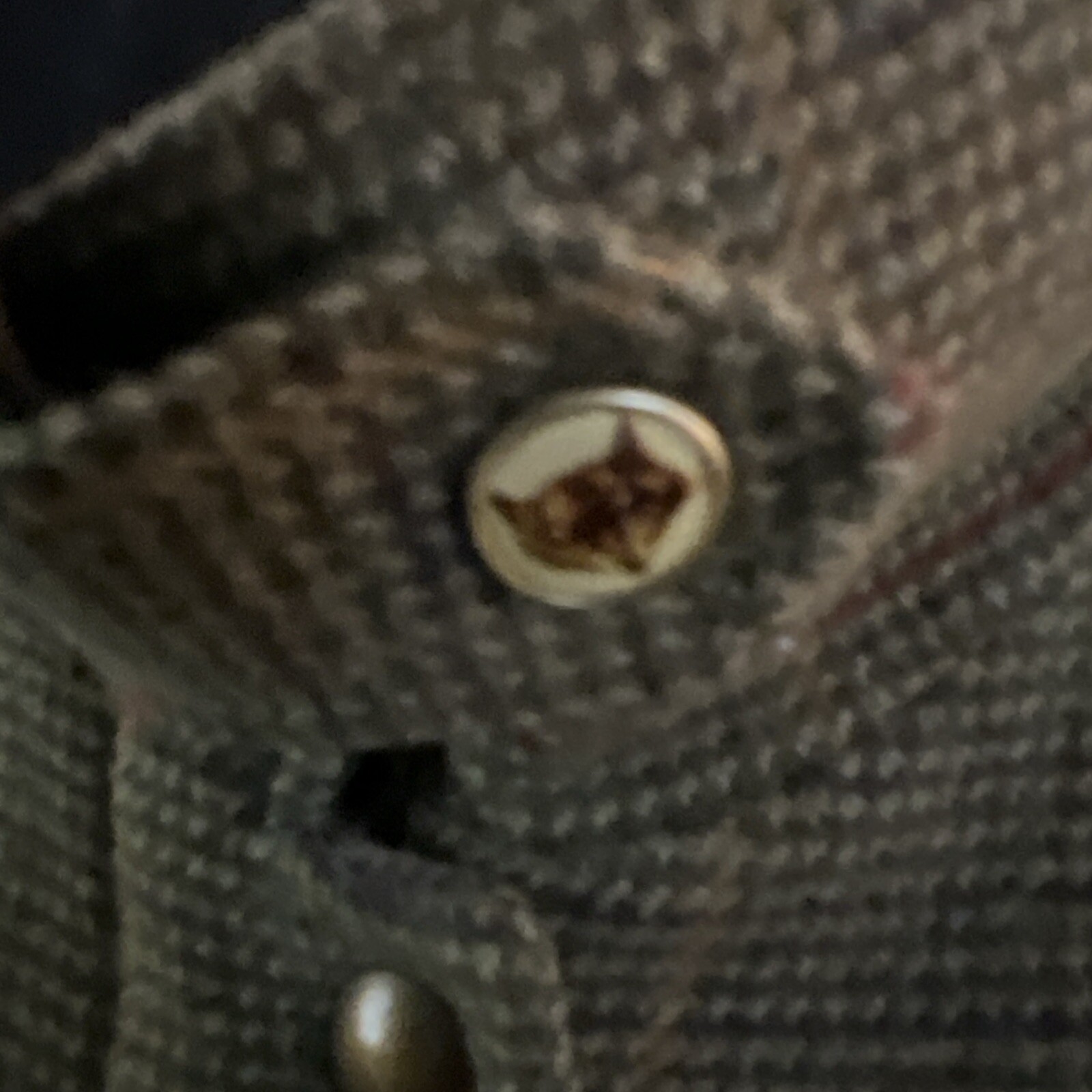 Picture 4 of 15