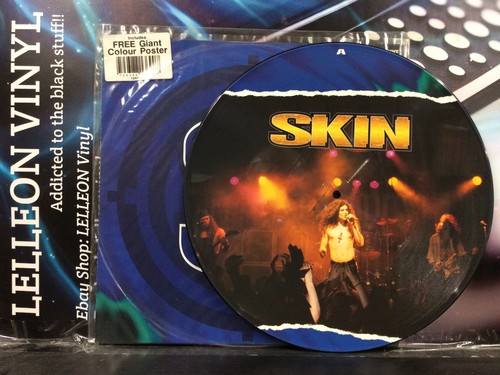 Skin Money 12" Picture Disc Single Vinyl 12RP6381 A/B Rock 90's + Poster - Picture 2 of 5