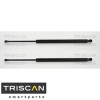 2X Gasfeder FüR Koffer-/Laderaum Triscan 8710292101 DäMpfer GasdäMpfer