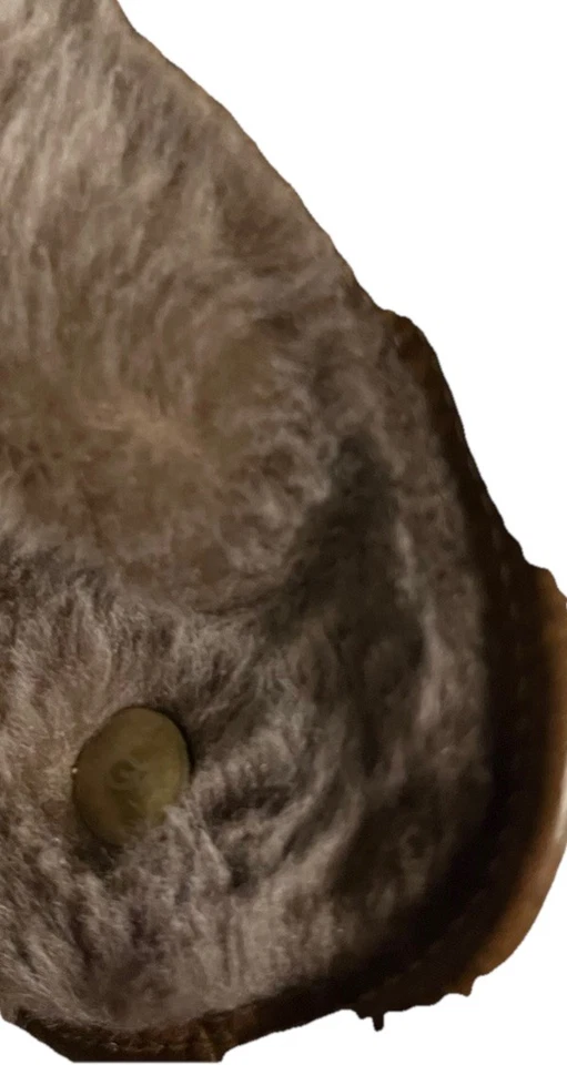 UGG Australia Lynnea Marrón Cuero Piel de Oveja Zueco Botines Talla 9 Foto 2 de 4