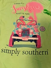 Simply Southern Green Pink Graphic Tee T-Shirt Sz S Flamingos Jeep Sunshine NWT