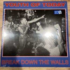 Youth of Today Break Down the Walls | eBay