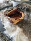 Hand Made Cedar Live Edge Bowl Food Safe Epoxy Coated Liquid Safe ,  Hand Wash — photo 6
