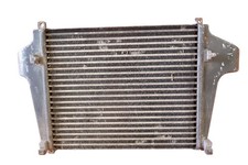 Adatto per intercooler DAF LF45 codice 1403162 1405177 1700349 3281805 BHK