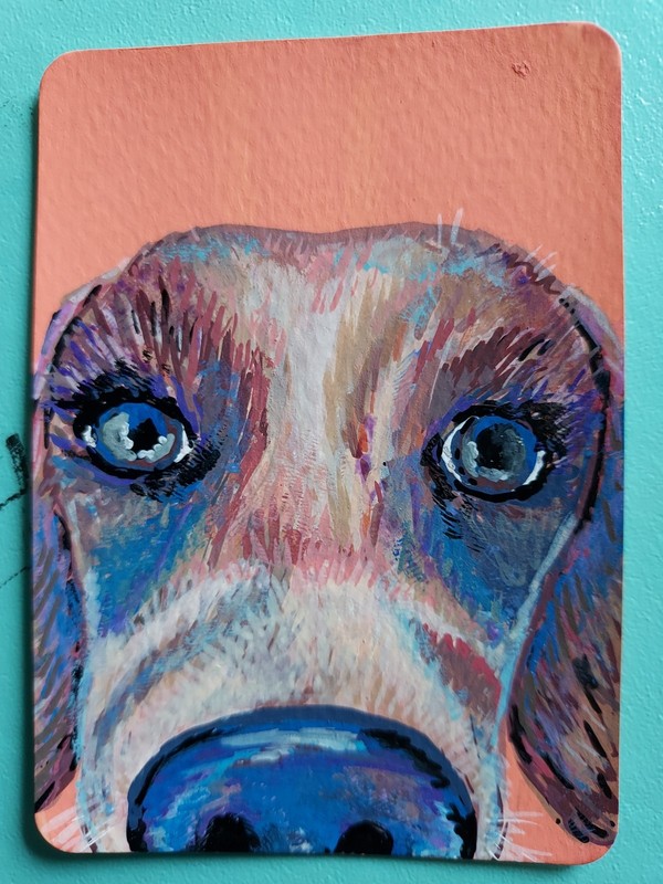ACEO, Original Contemporary Dog Animal Head Painting, Small, Unframed