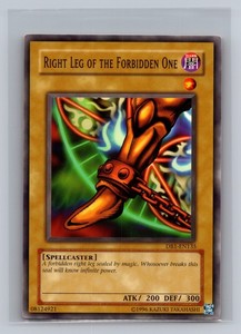 Right Leg of the Forbidden One (Dark Beginning 1) Common