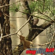 Hydrographics Film Hydro Dipping Water Transfer Print Film RC-200-1 Timber Tec L