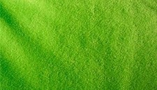Fleece Solid Polar Fleece Fabric lime Sold By The Yard 60" Wide Blankets