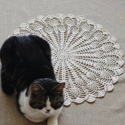 20"-22" Vintage Hand Crochet Lace Doily Flower Tablecloth Round Table Topper Mat - Picture 4 of 23