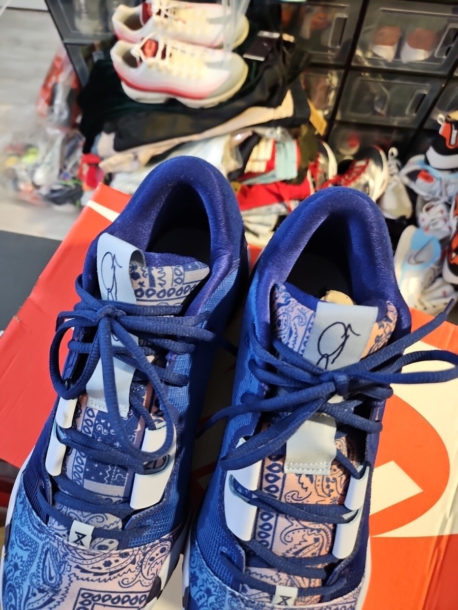 Size 13 - Nike PG 6 Blue Paisley | eBay
