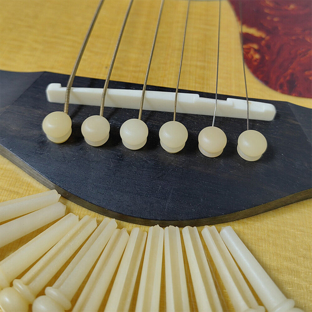 Picture 6 of 6
