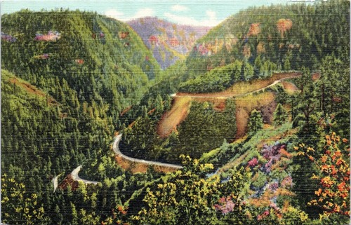 postcard Arizona Oak Creek Canyon posted 1950