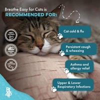 Cat Respiratory Infection & Nasal Relief 5