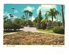 Pioneer Park in Mesa AZ vintage postcard unposted