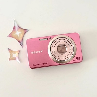 Sony Cyber-shot DSC-W630 16.1 MP Compact Digital Camera SD Card