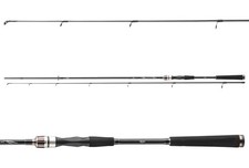 Daiwa Exceler Spin 2,70M 10-40G Canna Da Pesca