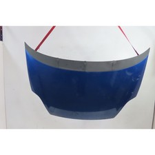 Capot Fiat PUNTO EVO