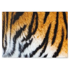 JUNIWORDS Poster, Tigerfell, Tiger Muster Tig...