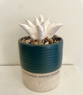 Demdaco Succulent Oil Diffuser Stoneware Relax, Renew, Refresh