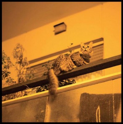 Sam Prekop The Republic (Vinyl) 12'' Album