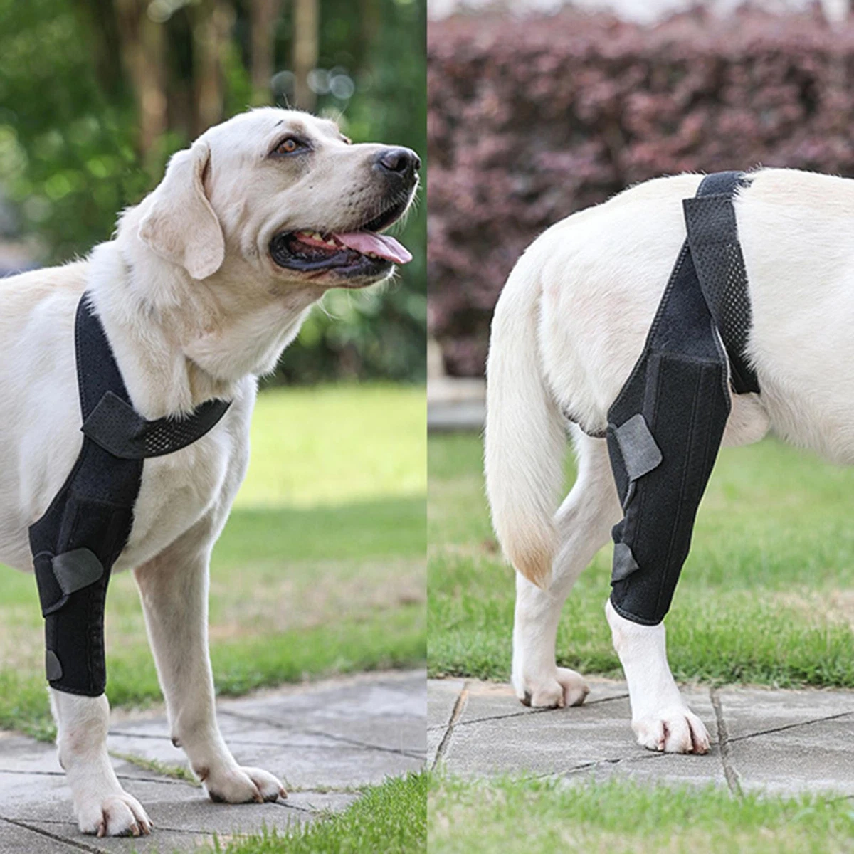 Dog knee brace ebay top