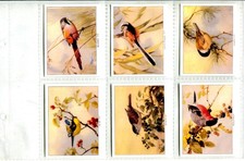 Birds of Britain 1994 Imperial Publishing Cards  - Full Set of 24 Large Cards