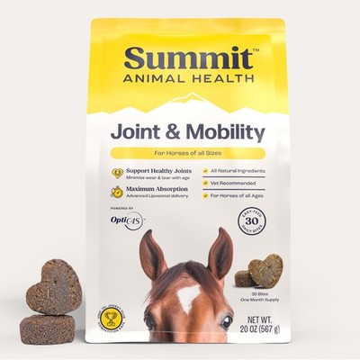 Horse Joint Supplement 30 Bites Daily Liposomal Delivery Summit Equine Mobility