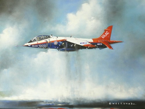Boscombe Down Hawker Harrier T4 Research Aircraft Original Oil Painting Westwood - 第 1/5 張圖片