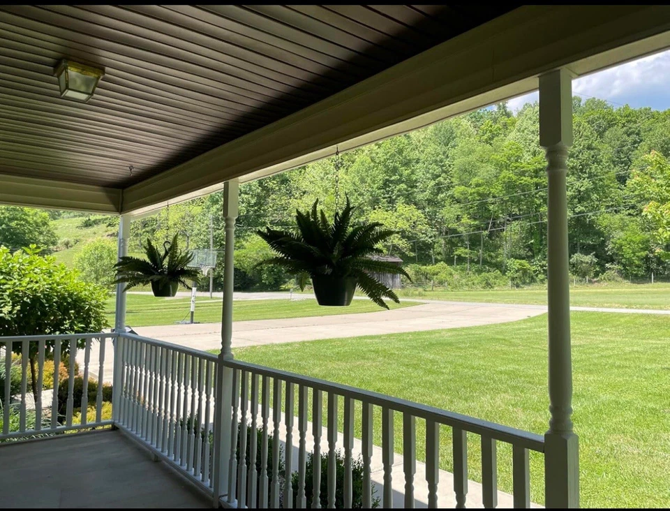 Paquete de 2 plantas de arbusto artificial de helecho Boston de 48". Venta al por menor $103 Foto 4 de 4