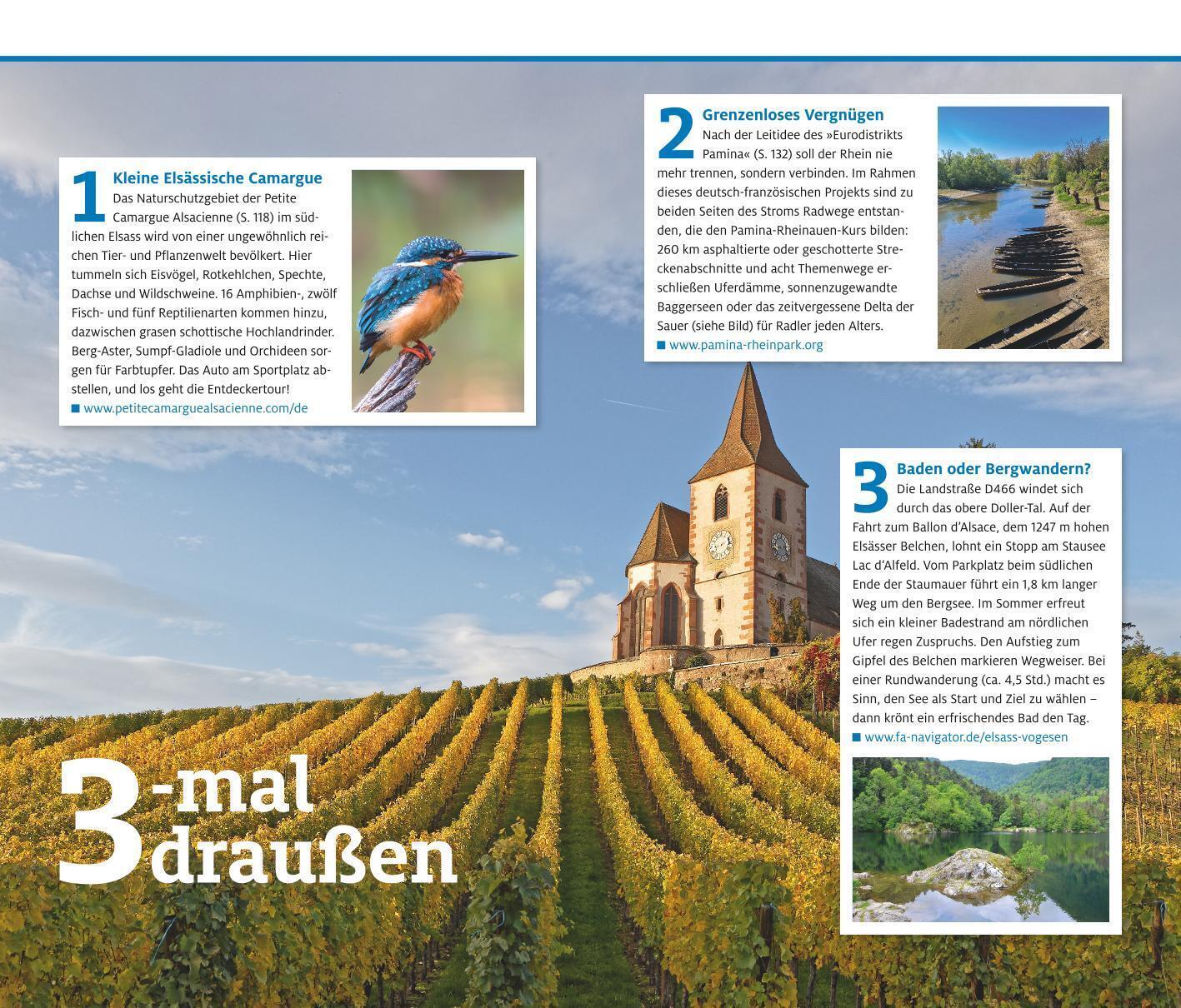 Thumbnail - Adac Reiseführer Elsass Robin Daniel Frommer