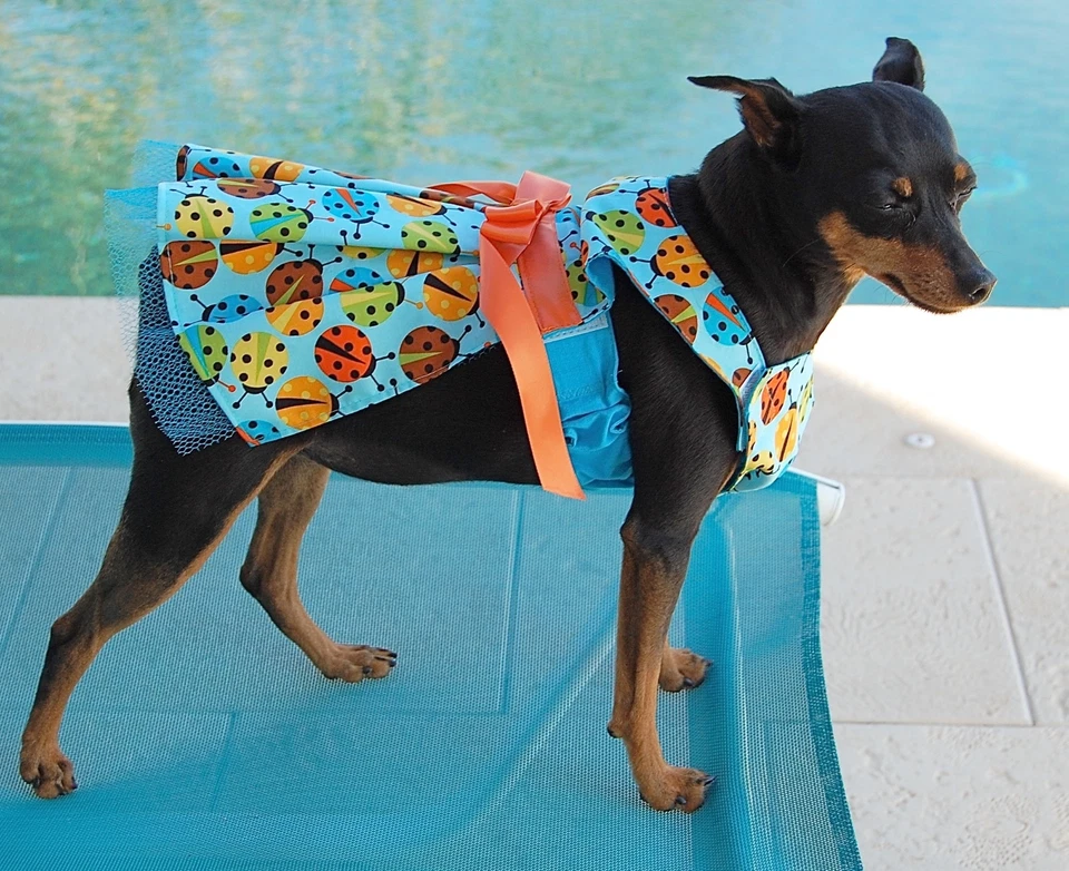 Vestido azul o dorado/multi estampado Ladybug para perro XS-M hecho en EE. UU. perros cachorros, Foto 4 de 4