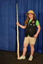 NARWHAL HORN (MODEL) Monodon monoceros, 67-inch narwhal horn CUT IN HALF #3775